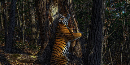 pic_853c1eb78f3407eaf5563f86e2056c49